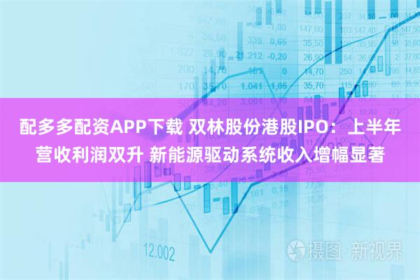 配多多配资APP下载 双林股份港股IPO:上半年营收利润双升 新能源驱动系统收入增幅显著